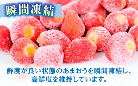 福岡県産 冷凍あまおう1ｋg(250g×4個) ＜木村食品＞ 那珂川市[GFR035]