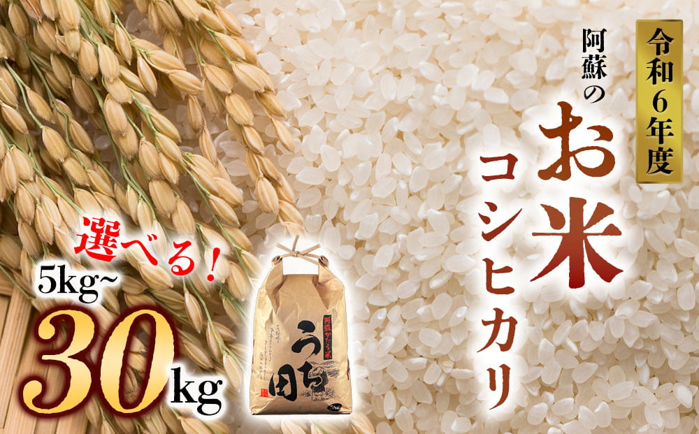 
令和6年度産　内田農場の新米　コシヒカリ 5kg～30kg 5kg×1袋 10kg 5kg×2袋 20kg 5kg×4袋 30kg 5kg×6袋 白米
