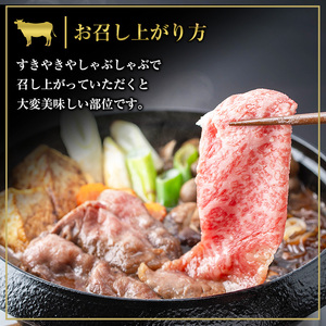 鹿児島黒牛 食べ比べ 600g リブロース スライス （300g×1P） 肩ロース スライス （300g×1P）A5等級 すき焼きセット 内閣総理大臣賞受賞！日本一 の 鹿児島黒牛 冷凍 小分け の 