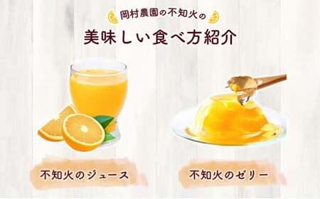 岡村農園直送 不知火 4kg | 数量限定 期間限定 農家直送 大人気 しらぬい 柑橘 デコポン 贈答用 デコポン ふるさと納税 室戸市 人気 ランキング 上位 みかん ミカン 高知県 室戸市_dp0