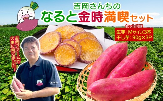 吉岡ファームのなると金時満喫セット【ギフト】｜さつまいも 鳴門金時 熟成 国産 スイーツ 干し芋 ギフト 贈り物 お土産 サツマイモ