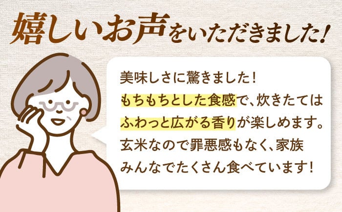 お米 玄米 20kg ( 5kg ×4袋）