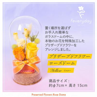 ふるさと納税 佐倉市 プリザーブドフラワーローズドーム イエロー系 お祝いやお誕生日におすすめ