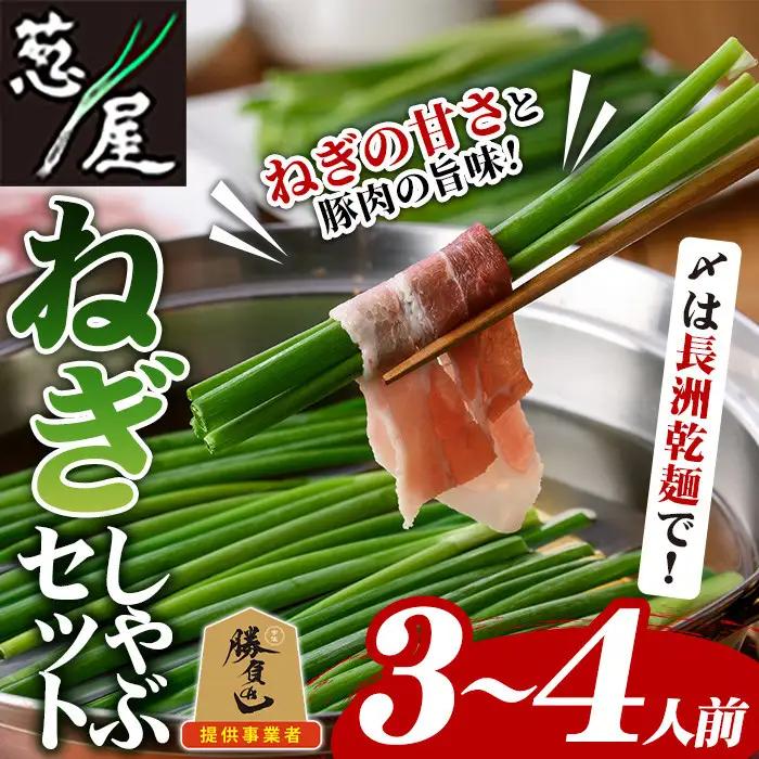 鉄板バル葱屋の ねぎしゃぶセット(3～4人前)ねぎしゃぶ しゃぶしゃぶ 豚肉 ぶた肉 ぶたにく お肉 鍋セット 乾麺 出汁 だし ポン酢 勝負めし【110700801】【葱屋おおくぼ】