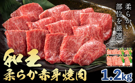 熊本県産A5等級和王 柔らか赤身焼肉 1.2kg 帝神志方ミート株式会社《90日以内に出荷予定(土日祝除く)》熊本県 菊池市 牛肉 肉 お肉 和牛 くまもと黒毛和牛 熊本県産 A5 和王 赤身 赤身肉