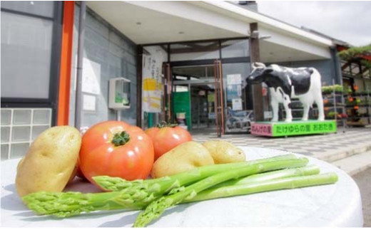 T02031 道の駅たけゆらの里おおたき特選詰め合わせB_イメージ4