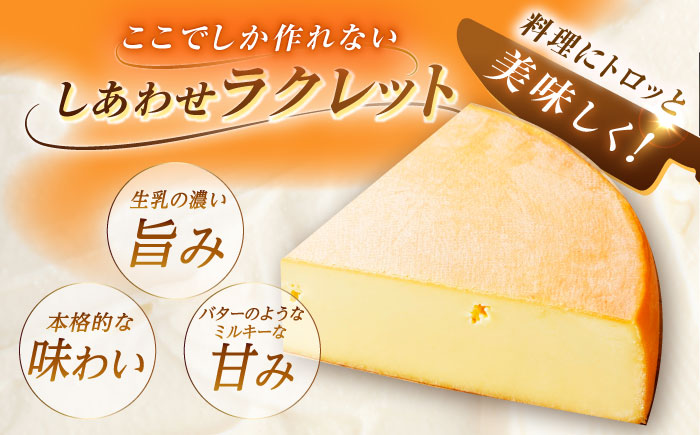 北海道 しあわせラクレット個包装500g（個包装4−6個）《足寄町》【しあわせチーズ工房】チーズ ラクレット ラクレットチーズ 生乳 ミルク 乳製品 チーズフォンデュ 北海道産 道産 あしょろ 北海道