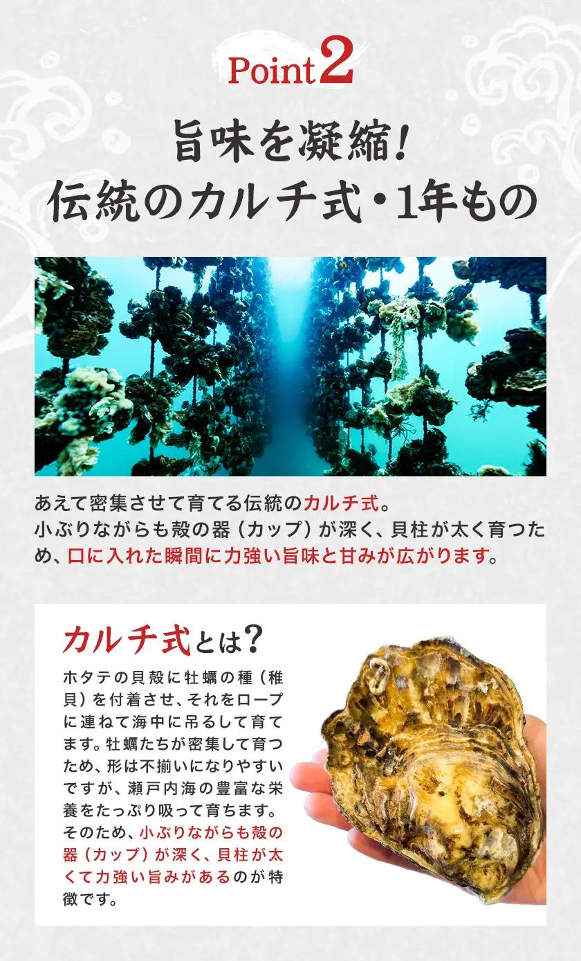 牡蠣 TAKIOKAプレミアム カルチ式 (加熱用) 1.5kg 牡蠣