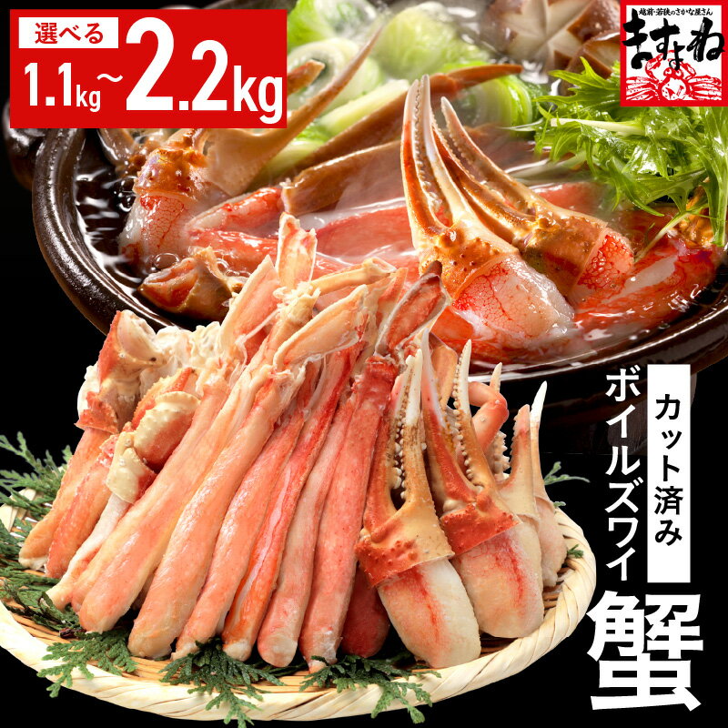 【ふるさと納税】 カット済み！ ボイルズワイガニ むき身セット【選べる内容量：1.1kg / 2.2kg】 むき身加工・特大3Lサイズ以上！ 【 ズワイガニ ずわいがに 楚蟹 カニ 蟹 剥き身 むき身 ポーション ますよね 】
