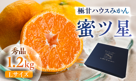 ≪先行予約≫ 濃厚ハウスみかん『蜜ツ星』秀品 1.2kg（Ｌサイズ10玉）みかん