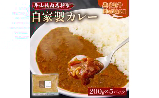 自家製 カレー 200g×5パック 1kg 黒毛和牛 牛肉 国産豚  個包装  湯煎可 温めるだけ 簡単 レンジ 牛山精肉店 特製 手作り セット 沼津 静岡 