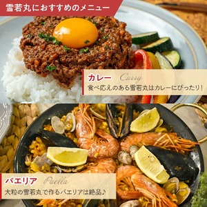 【 3ヶ月定期便 / 令和7年産 】 雪若丸 計10kg/月 ( 1回配送 5kg×2袋 ) ブランド米 2025年産