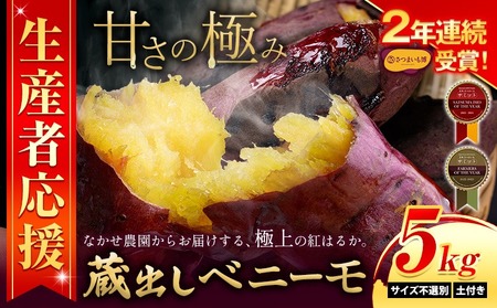 さつまいも 蔵出しベニーモ 約5kg さつまいも 訳あり