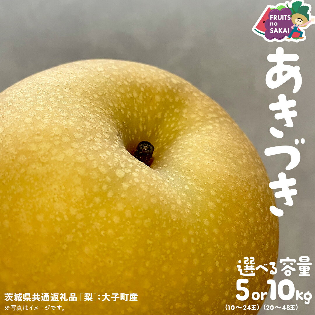 【ふるさと納税】＼ 選べる内容量 ／ あきづき 梨 5kg（10～18玉）/ 10kg （20～36玉）【2025年10月より発送開始】（茨城県共通返礼品 [梨]：大子町産） なし 旬 お取り寄せ フルーツ 甘い ジューシー 和梨 時期