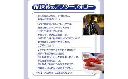 【2月発送】とちおとめレギュラー 250g×8パック