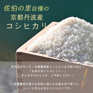 予約 野菜と米 京都 佐伯の里 新鮮 旬の野菜セット 7～10品 コシヒカリ2kg 新米 京都丹波・亀岡産 季節の野菜 詰め合わせ 訳あり 生活応援 ※北海道・沖縄・離島への配送不可 ※2025年9月