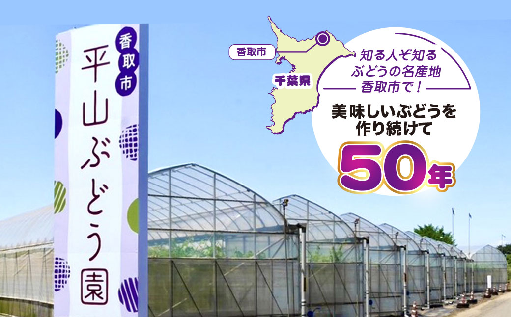 平山ぶどう園のシャインマスカット（種なし）700g × 1房 / KTRBV001 / シャインマスカット マスカット ますかっと 種なし ぶどう ブドウ 葡萄 令和7年発送