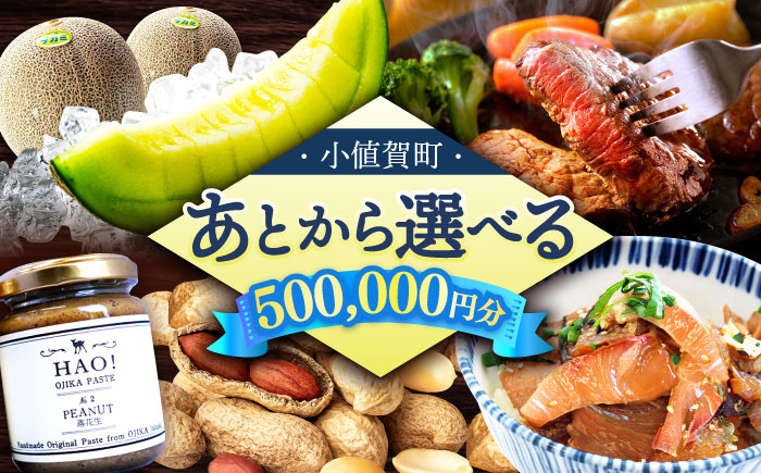 
            【あとから選べる】小値賀町ふるさとギフト 50万円分　長崎県 小値賀町 [DYZ014] [DYZ014]
          