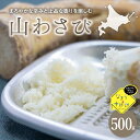 【ふるさと納税】なまら十勝野の 山わさび 500g 山葵 西洋わさび ホースラディッシュ 北海道 十勝 芽室町