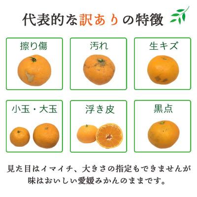 ふるさと納税 八幡浜市 【発送月固定定期便】愛媛の柑橘3品種を厳選!まどんな・甘平・せとか柑橘定期便【G25-163】全3回 |  | 02