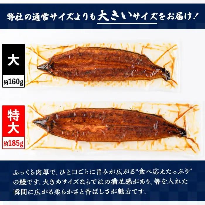国産 鰻 蒲焼 2尾 計370g以上 うなぎ 鰻 有頭 特大【一般社団法人きもつき宇宙協議会】B57005