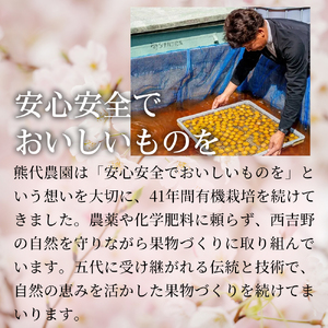 梅しそふりかけ（40g）×5袋 | 梅しそ ふりかけ 紫蘇 しそ シソ 果実 かじつ カジツ 梅 うめ ウメ 梅干し しそ漬け 熊代農園 | 奈良県 五條市
