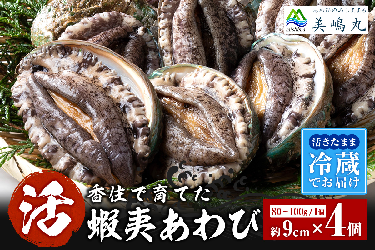 【冷蔵 活あわび 養殖 9cm×4枚 320～400g （1個80～100g）】 TVで紹介 満点青空レストラン 国産 アワビ 鮑 活アワビ あわび 海鮮 刺身 BBQ レシピ入り 人気 テレビ TV 紹介 話題 おすすめ ふるさと納税 返礼品 兵庫県 香美町 香住 山陰 美嶋丸 20-02