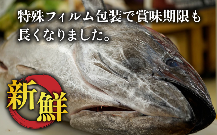 【全6回定期便】【ながさき水産業大賞受賞！！】五島列島産 養殖 生本かみまぐろ 赤身 ブロック 500g【カミティバリュー】 [RBP062]