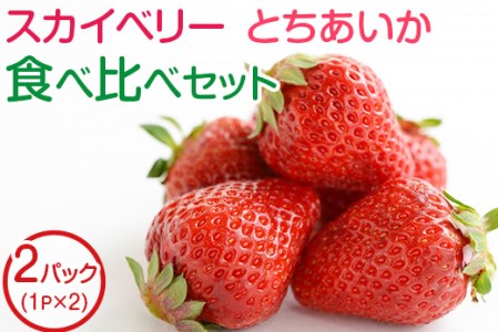 田口いちごファームの スカイベリー・とちあいかの食べ比べセット ｜ いちご 苺 イチゴ 栃木県産 ※2025年1月中旬～2月下旬頃に順次発送予定 ※北海道、沖縄、四国、九州、離島への配送不可