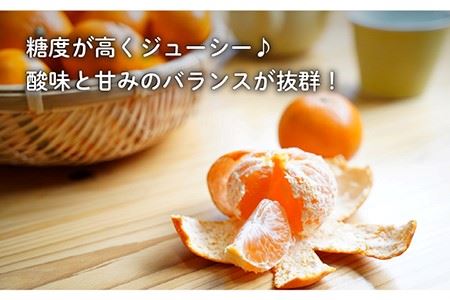 【数量限定】盛田みかん Sサイズ 約5kg（50-60個前後）ー2025年12月より発送ー 長与町/山口農園 [EBI001] 盛田 もりた みかん 温州みかん みかん 長崎みかん 長与みかん