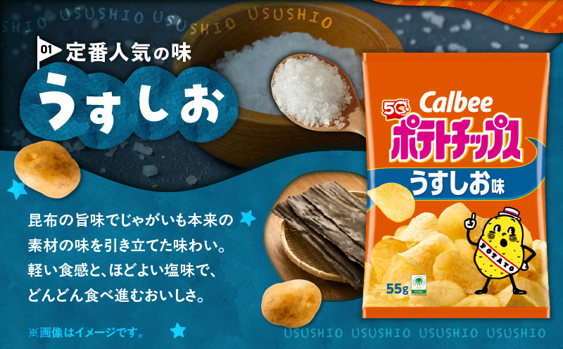  【4ヶ月定期便】カルビー ポテトチップス 食べ比べ4種【うすしお、コンソメパンチ、のりしお、九州しょうゆ】　K194-T01