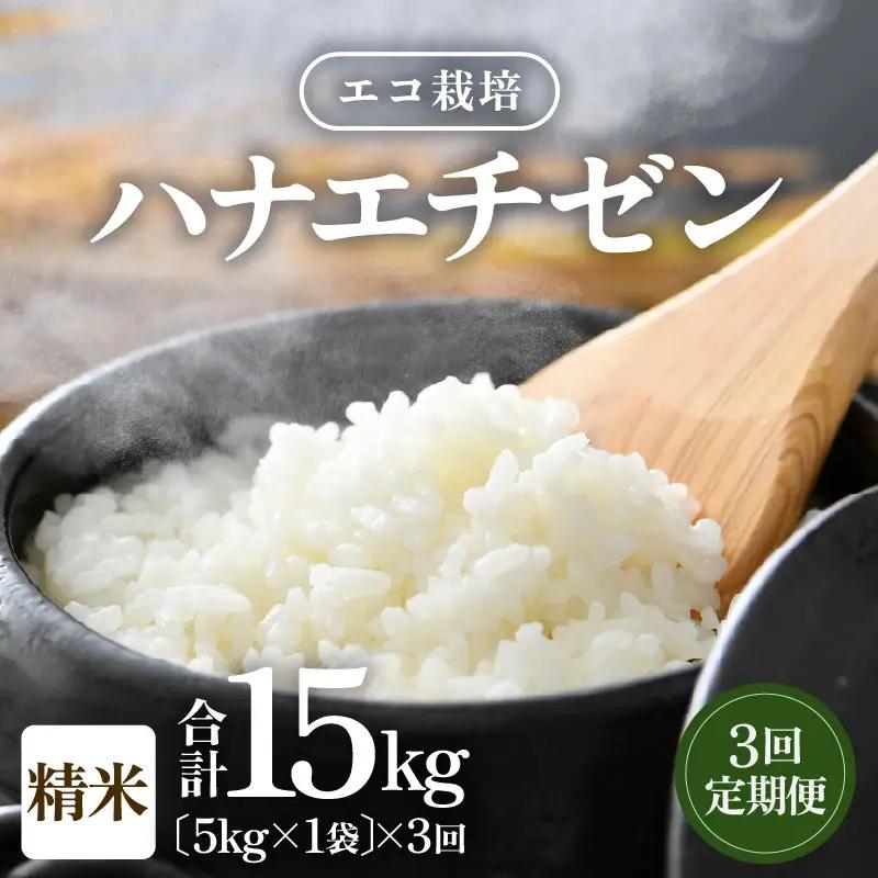 【先行予約】【令和8年産 新米】 エコ栽培ハナエチゼン　白米5kg×3回 計15kg ／ 鮮度抜群 福井県産 はなえちぜん ご飯 新鮮 白米 ※2026年9月上旬以降順次発送予定 [aw063-b015]