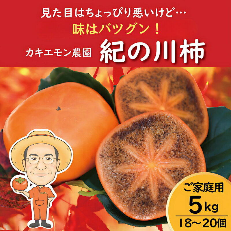 【ふるさと納税】 【訳あり・ご家庭用】紀の川柿 約5kg 18 〜 20個 カキエモン農園 【2025年10月中旬〜11月中旬頃順次発送】 果物 くだもの フルーツ 柿 かき 和歌山 人気 送料無料 | 柿 かき フルーツ 果物 くだもの 食品 人気 おすすめ 送料無料 産地直送