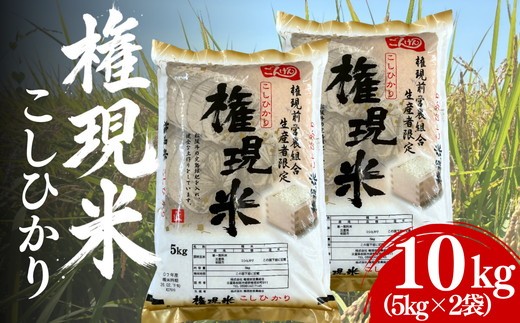 権現米（ごんげんまい）10kg（5㎏×2袋）【002379】