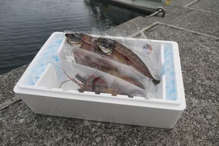 【数量限定】【匠の漁】伊勢えび・三崎アジ一夜干し特選セット（各2枚） 【 あじ アジ 一夜干し 伊勢海老 伊勢えび 】 IKTJ007