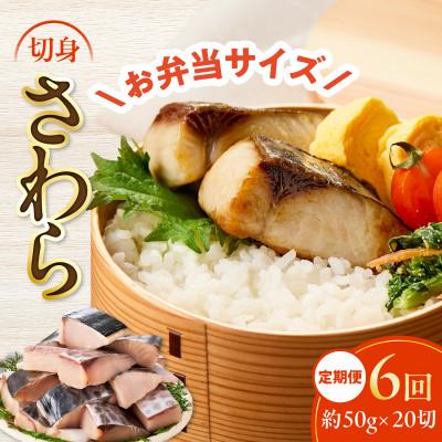 ふるさと納税 泉佐野市 【毎月定期便】さわら 切身 約50g×20切れ お弁当サイズ 小分け 訳あり サイズ不揃い 全6回