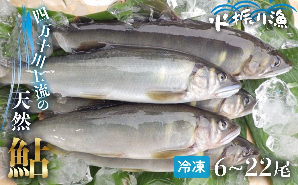 
            四万十川上流の天然鮎 冷凍 火振り漁鮎 2kg（6～22尾）【着日指定不可】Esj-14k あゆ アユ 魚 魚介 川魚 塩焼き 冷凍 個包装 小分け たっぷり
          