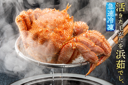 【北海道根室産】毛がに450g前後×1尾 A-21006