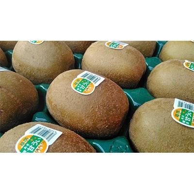 ふるさと納税 大野城市 福岡限定!ブランドキウイ「甘うぃ(あまうぃ)」約1.5kg箱(12-15玉)(大野城市) |  | 02