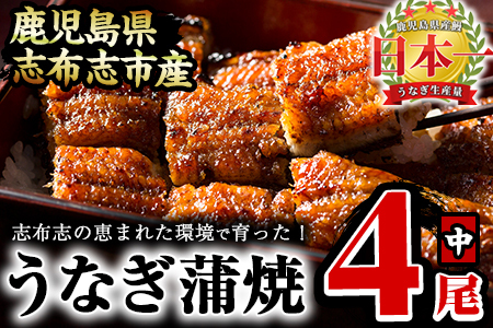 うなぎの大楠＜中＞4尾セット計520g(130g×4) うなぎ 鰻 ウナギ 4尾 国産 九州産 蒲焼き かばやき 冷凍 うな重 ひつまぶし タレ 山椒 真空パック ランキング 人気 b5-171