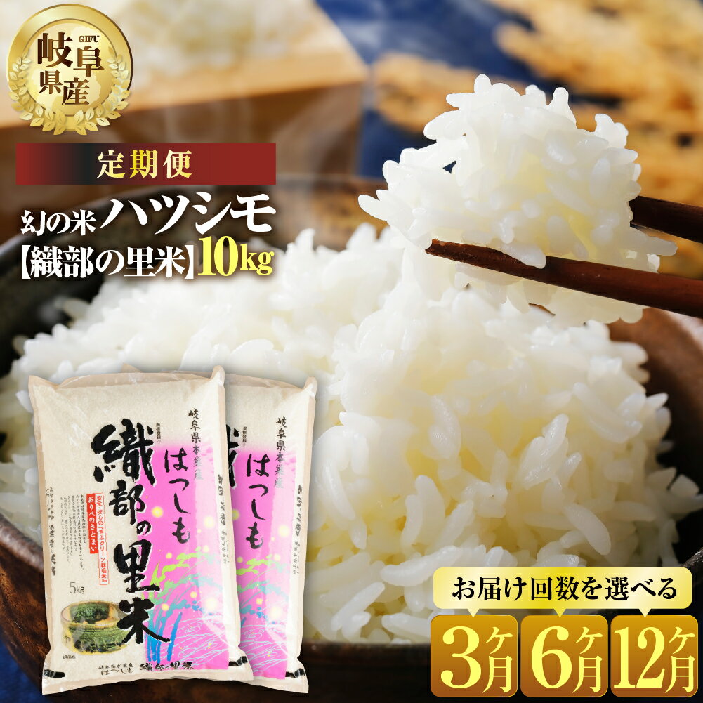 【ふるさと納税】【 定期便 】令和7年産 新米 先行予約 ハツシモ 10kg 回数 選べる 3回 6回 12回 【織部の里米(R)】 米 こめ ごはん 白米 岐阜県産 本巣市 お米 精米 和食 寿司 幻の米 岐阜県産 もとすファーム [mt1208]