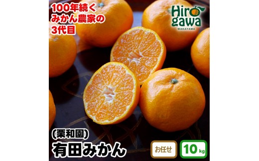 
                  有田みかん 10kg 栗和園【krw004-l-10】
                