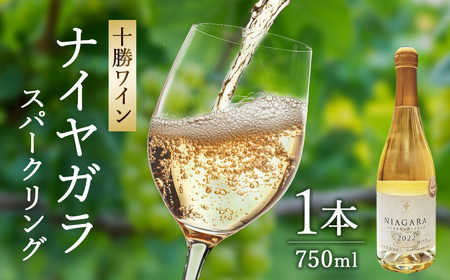 高評価5.0 十勝ワイン ナイヤガラスパークリング 1本 スパークリング スパークリングワイン