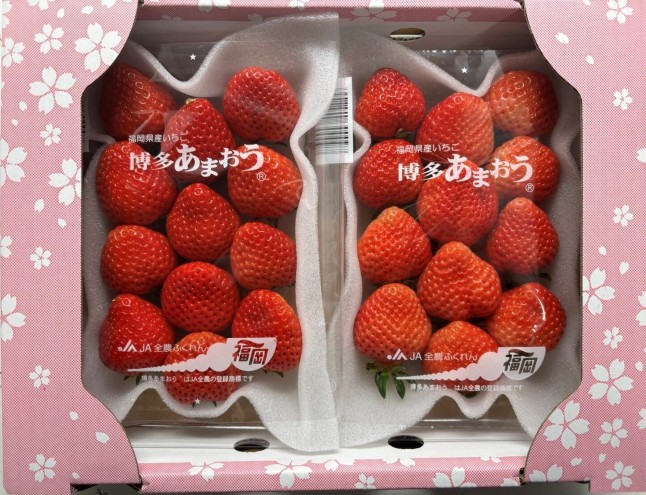 ＜2027年3月～4月発送＞博多あまおう 約250g×8