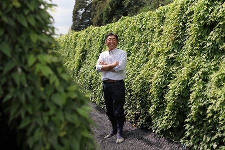 179-1 牧之原特産訳あり自然薯 1㎏