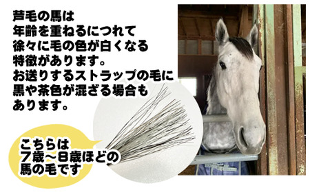 １月の天然石付き（ガーネット） 馬のしっぽストラップ  1個 （芦毛）【馬っこパーク・いわて】/ 馬毛 本物 尻尾 グッズ