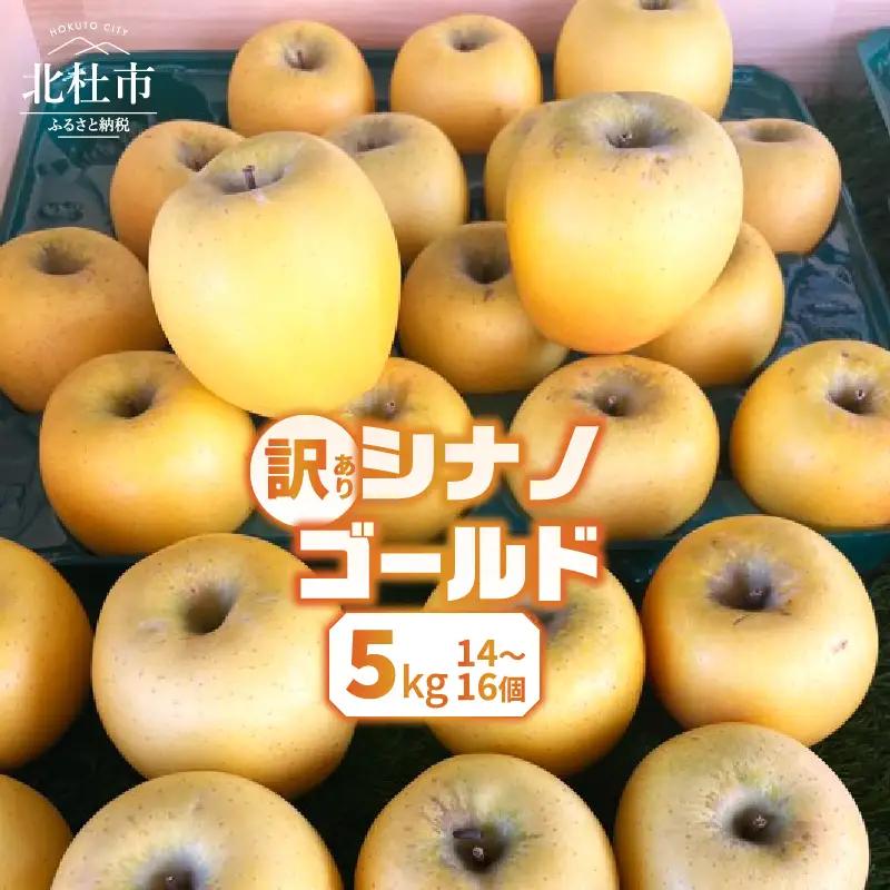 【2026年先行予約】【訳あり】シナノゴールド5kg(14個～16個） りんご 山梨県産  期間限定 家庭用 規格外 フルーツ 果物 果実 山梨 北杜市 [h301]