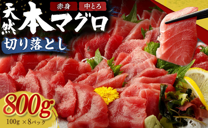 
            天然本マグロ 中とろ 赤身 切り落とし 800g 小分け(100g×8パック) 訳あり マグロ 刺身 カルパッチョ まぐろ丼 まぐろ漬け丼 魚 惣菜 海鮮丼 魚介類 食べきりサイズ 冷凍 不揃い
          