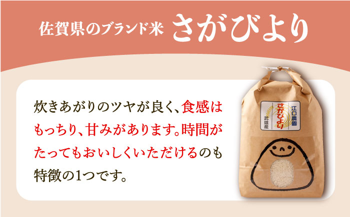 ＜14年連続特A評価＞令和5年産 さがびより 玄米 10kg /江口農園 [UBF006] 米 お米 ブランド米