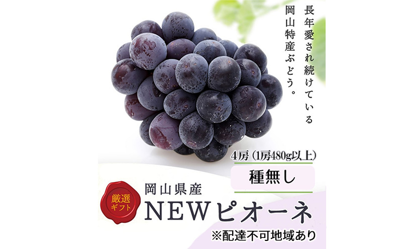 ぶどう 2026年 先行予約 ニューピオーネ4房(1房480g以上) ブドウ 葡萄 岡山県産 国産 フルーツ 果物 ギフト 